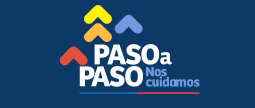 Programa «Paso a Paso: Nos cuidamos» | AmCham Chile